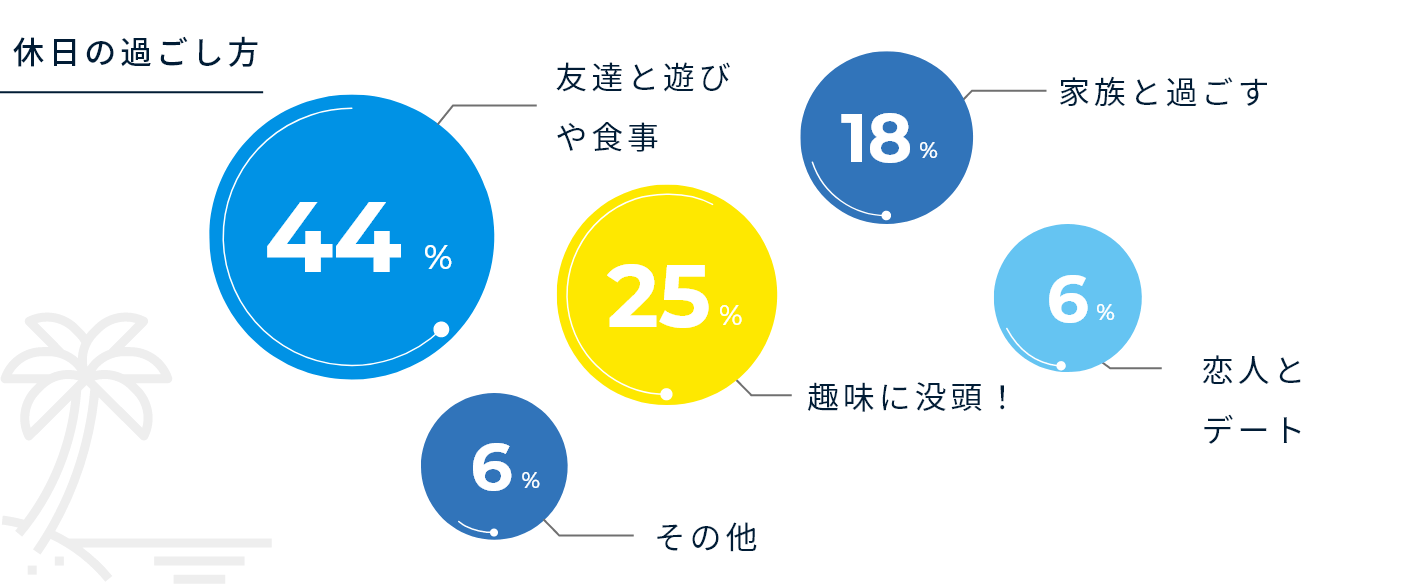 給料の使い道 図