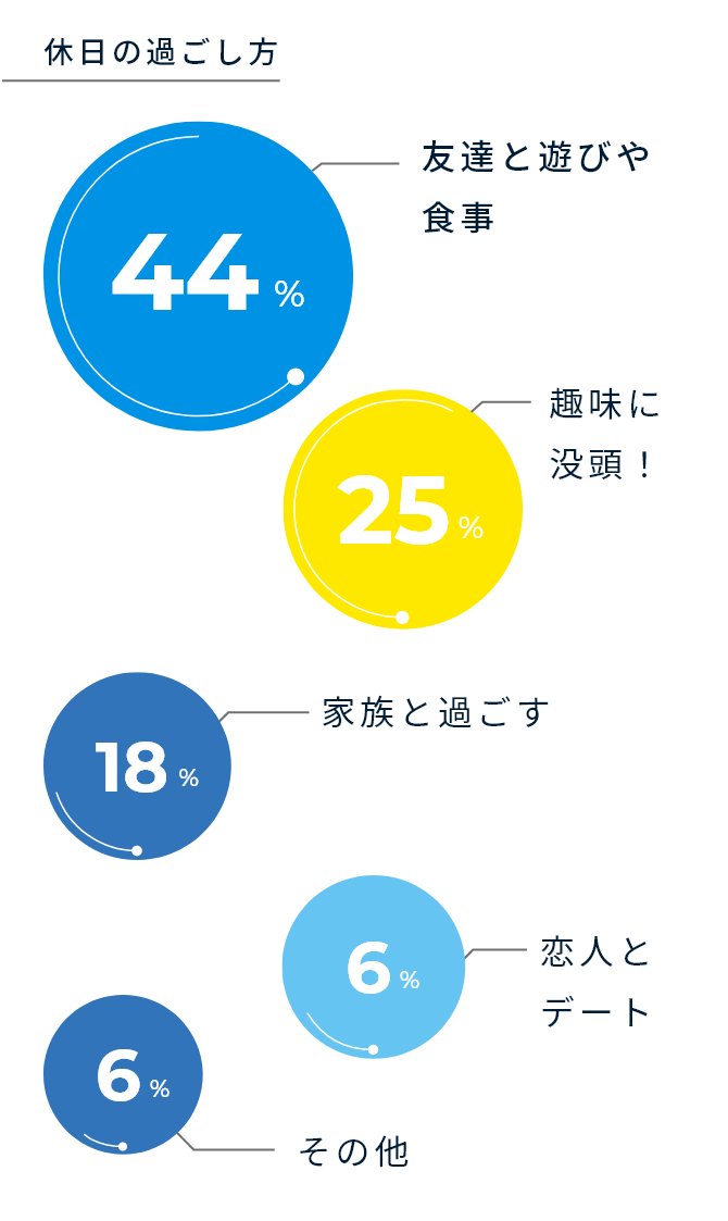 給料の使い道 図