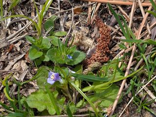 全開！　きのうの様子