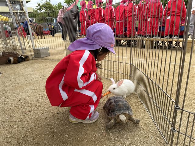 動物たちがやってきた！